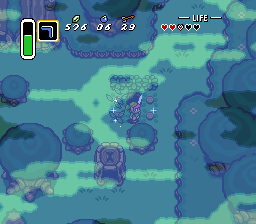 The 9 bushes near the hideout