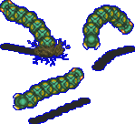 lanmolas.gif
