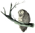 Filename=g-owl4.jpg
Filesize=13KB
Dimensions=350x334
Date added=Feb 25, 2006 g-owl4.jpg