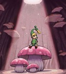 mushrooms.jpg