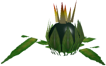 BombFlower~0.png