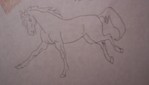 Filename=kicking_epona.jpg
Filesize=264KB
Dimensions=1666x951
Date added=Jan 29, 2007 kicking_epona.jpg