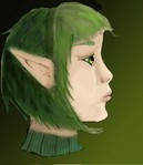 Sariaprofilever2,_cleaned_upcolour_copy.jpg